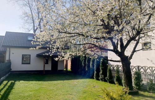 Mini house - apartament, domek do wynajęcia - Foto 29