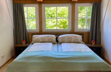 Kap der guten Hopfung - Foto 7