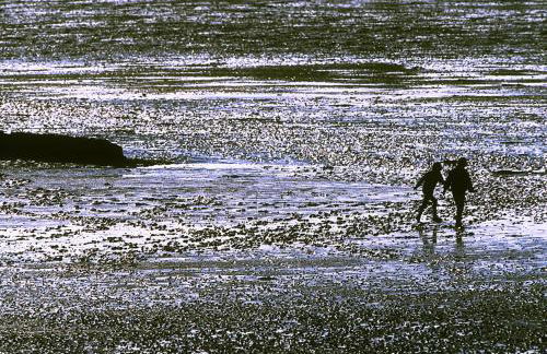 Haubarg am Meer - Foto 17