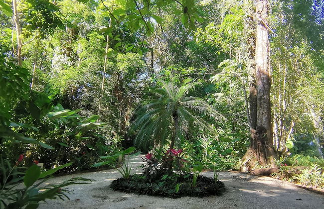 Elan at Ballena Beach - Foto 54