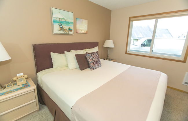 The Grey Gull - Foto 39