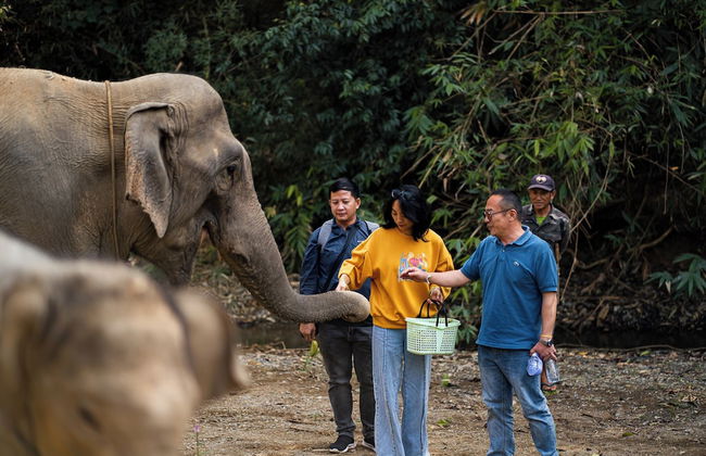 Hueanphae Luang Prabang - Foto 16
