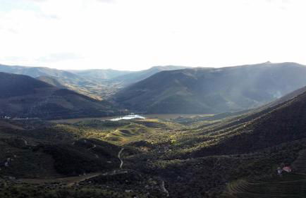 Quinta Vale de Carvalho - Foto 51