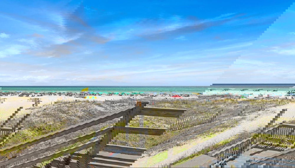 Palmetto Palms - Foto 1, Imagen principal