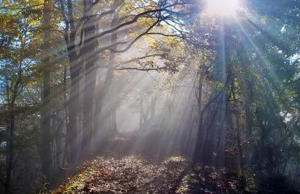 Appartamento EDELWEISS - Foto 27