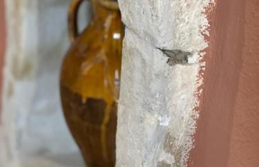 GarganoMareBorghi ospitalità diffusa - Foto 80