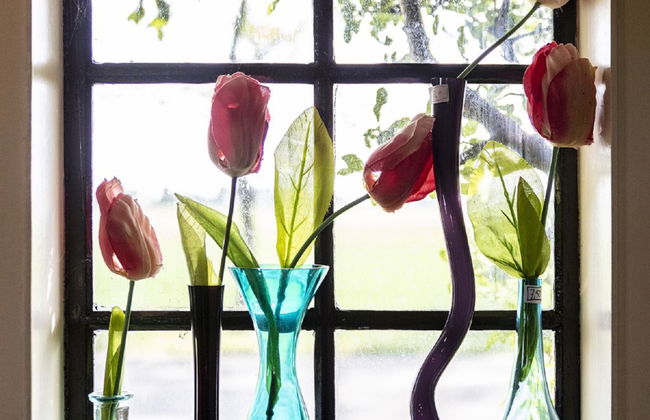 Polderzicht - Foto 17