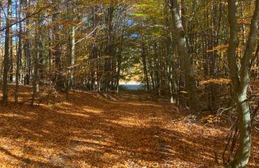 Domek Leśne Zacisze - Foto 27