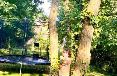 LA VILLA DES OISEAUX - La Petite Pierre - Foto 26