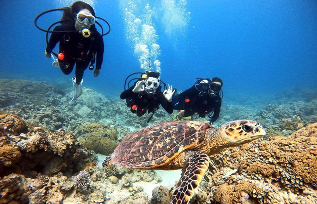 Baptême de plongée dans la mer Rouge - Photo 4