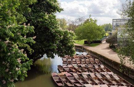 Stylish 2 BR Parking 7 mins Oxford 14 Bicester - Foto 16