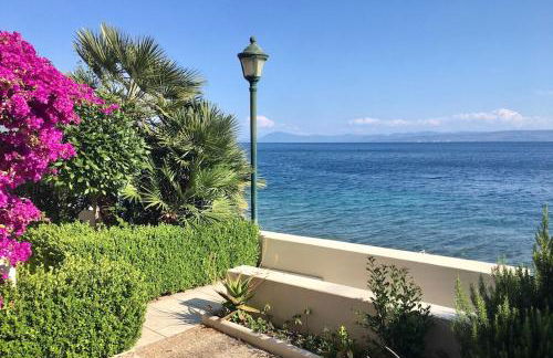 EviaXL Studios - Photo 1