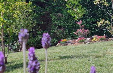 Villa Nafplion private pool garden bbq 5' sea - Foto 51