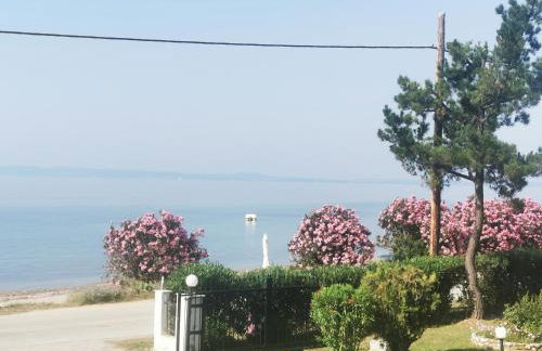 Metamorphosis - Halkidiki Apartment on the beach - Photo 1