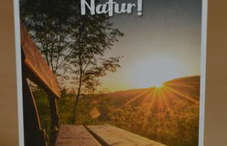 Ferienwohnung Sonnenblume - Foto 28