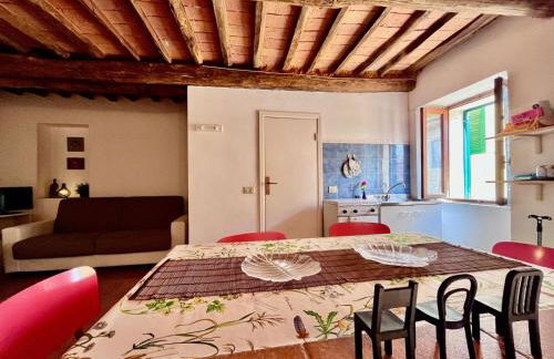 Casa Armonia - Elba Affitti - Foto 13