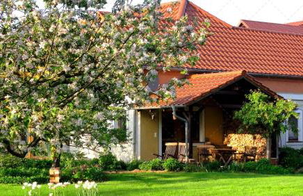 JANISCHs Fewo im Spreewald, Terrasse, großer Garten und Blick inklusive - Foto 2