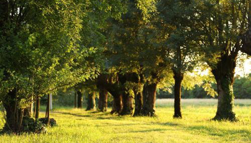 Wooden house Lekneno, near the airport - Foto 2