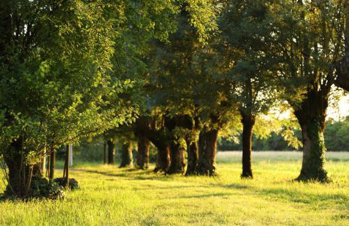 Wooden house Lekneno, near the airport - Foto 2