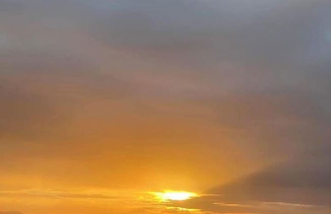 Jovillena Beach Resort Lobo Batangas - Foto 64