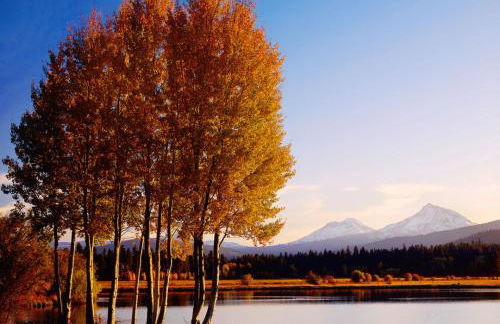 Black Butte Ranch Modern A-Frame Retreat, sleeps 8 - Foto 17