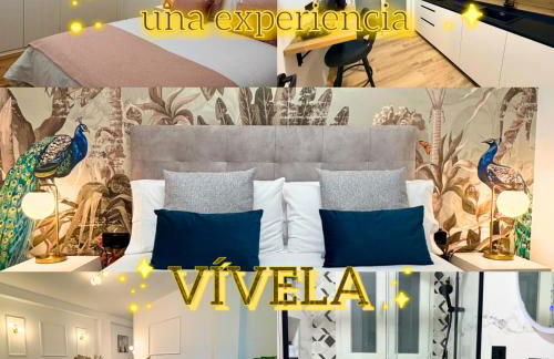 Apartamento Centro Ancha de Gracia - Foto 2