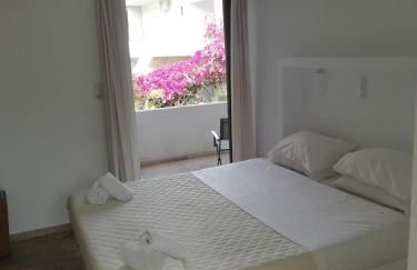 Golden Star Praxitelous - Foto 80