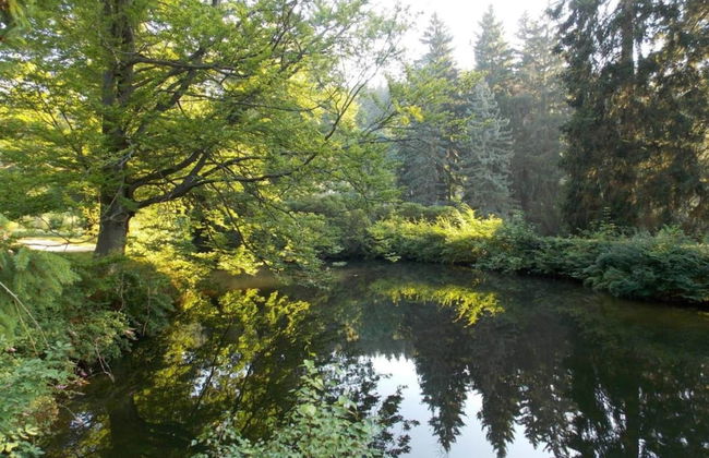 Cozy Holiday Home in Vogtland - Foto 32