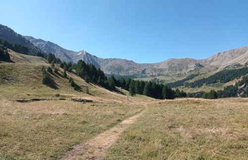 Ski et Détente Les Orres 1650 Animaux OK - Photo 56