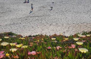 Goarges Tiny Home! - Foto 20