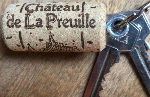 Chateau de la Preuille Gites - Foto 46