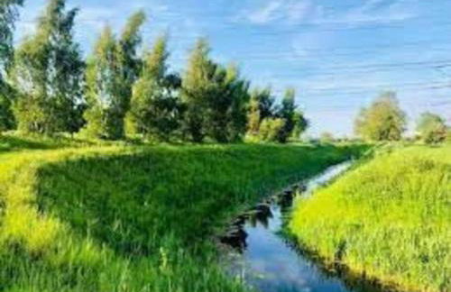 Country Gem - Foto 13