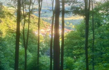 Bergfohlenhof - Photo 67