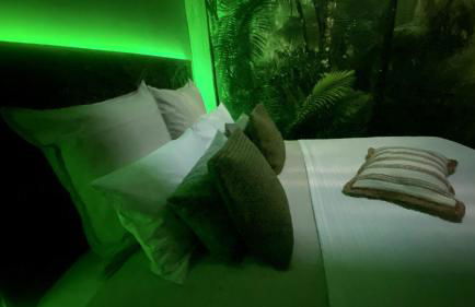 Tropical Lodge SPA Narbonne - Foto 11