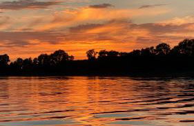 Ferienwohnung auf Pferdehof - Foto 44