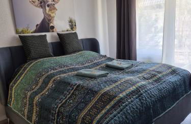 TOP Anbindung in den Nationalpark Eifel für 6 Personen und max 2 Hunde inklusive Terrasse - Foto 32