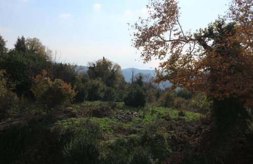 Villa Elea in Milies Pelion - Foto 18