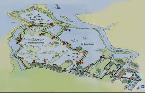 T2 élégant plus piscine - Photo 3