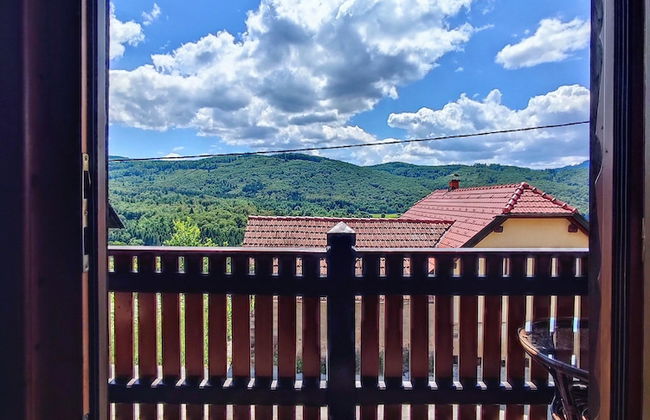 Vineyard cottage Kralj - Foto 13