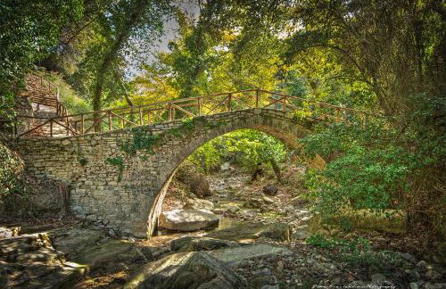 Panorama Hotel - Photo 54