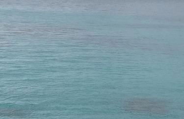 Bilo Noel - Photo 25