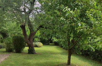 Apartment Pino - Foto 59