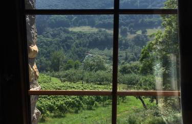 Agroturismo Erlete Goikoa -ESTAMOS EN EL CAMINO DE SANTIAGO -WE ARE ON THE CAMINO DE SANTIAGO- SENDERISMO-RUTAS Y BICICLETA - Photo 43