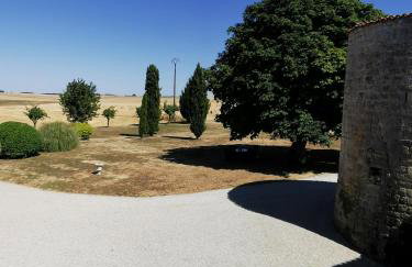 Maison la tour - Photo 24