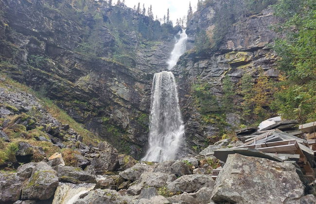 Forest Family Home - Foto 40