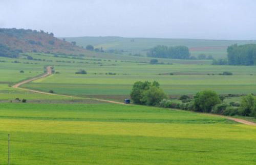 Las casas de Yagüe, Ayllón - Foto 29