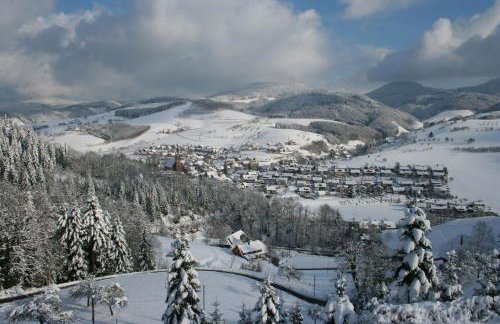 Ferienwohnungen Golla-lang - Foto 33