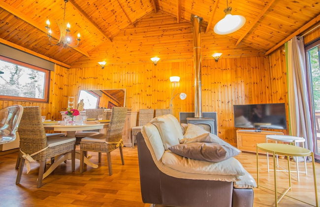 Nature Chalet in Somme-leuze - Foto 10