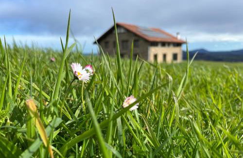 Caserío Bizkar - Foto 7