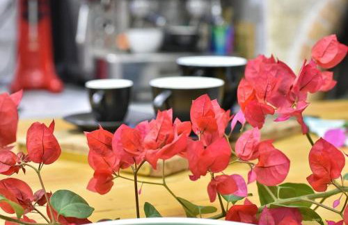 Roboboss Garden Rooms - Foto 35